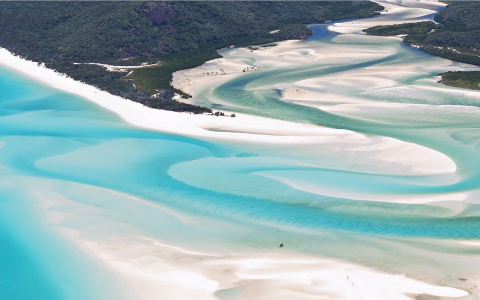 RentalMatics and East Coast Car Rentals Renew Partnership