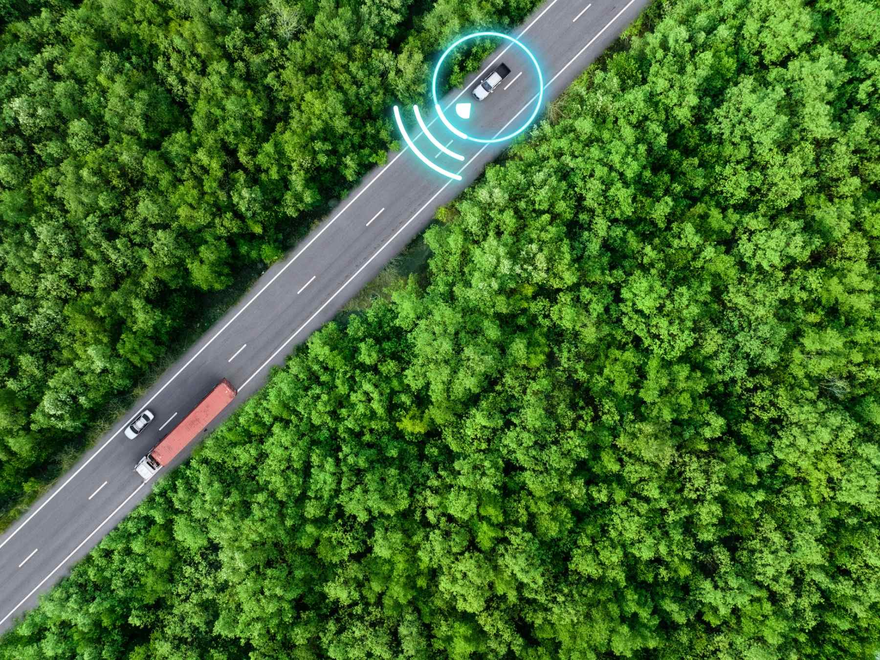 Car driving in leafy forest with GPS